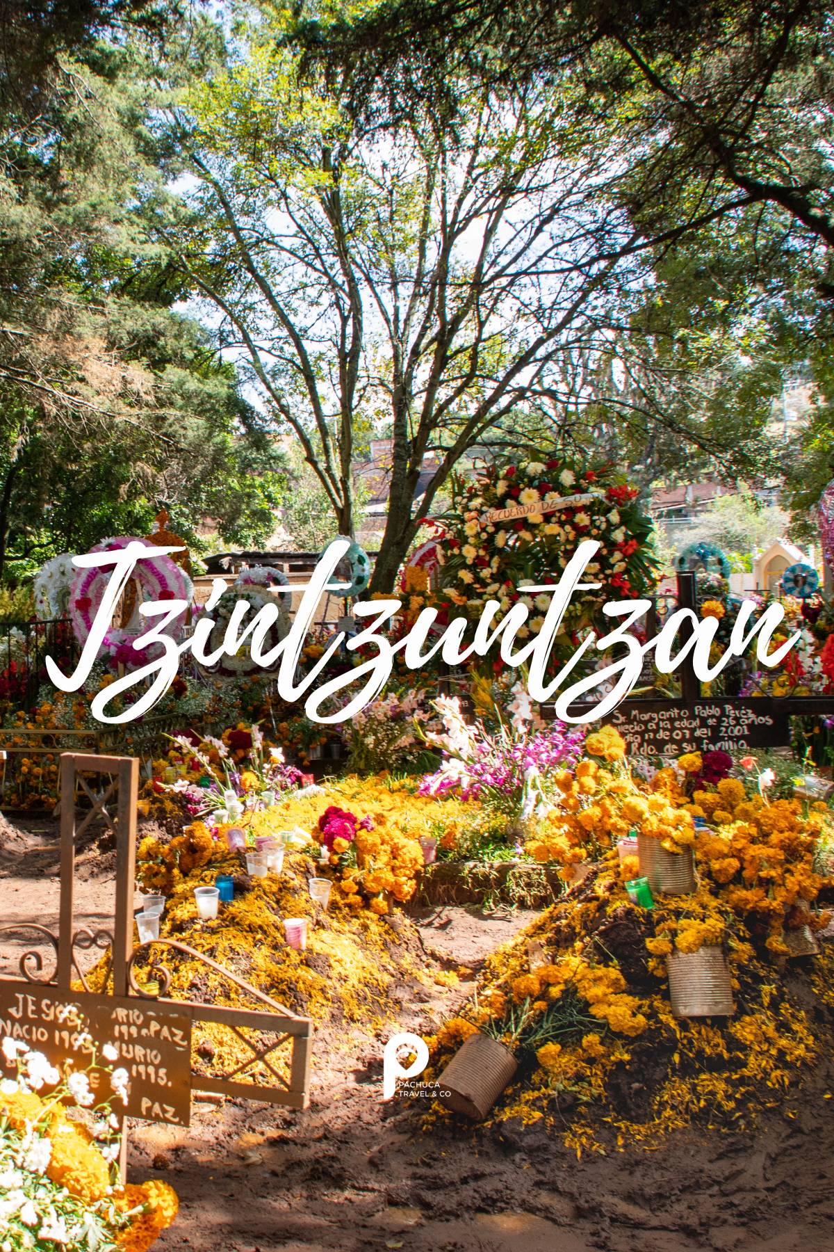 Especial Día de Muertos: Michoacán - Imagen 2