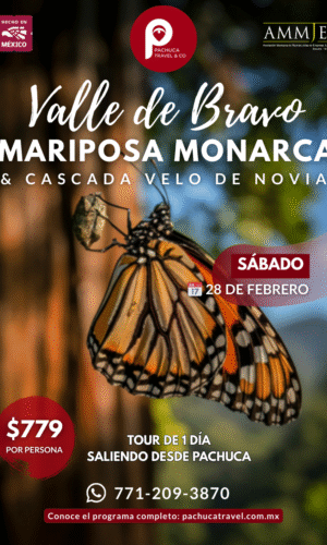 Santuario de la Mariposa Monarca & Cascada Velo de Novia, Valle de Bravo.