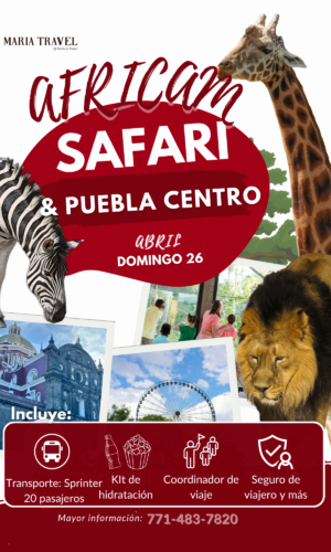 Puebla Centro & Africam Safari
