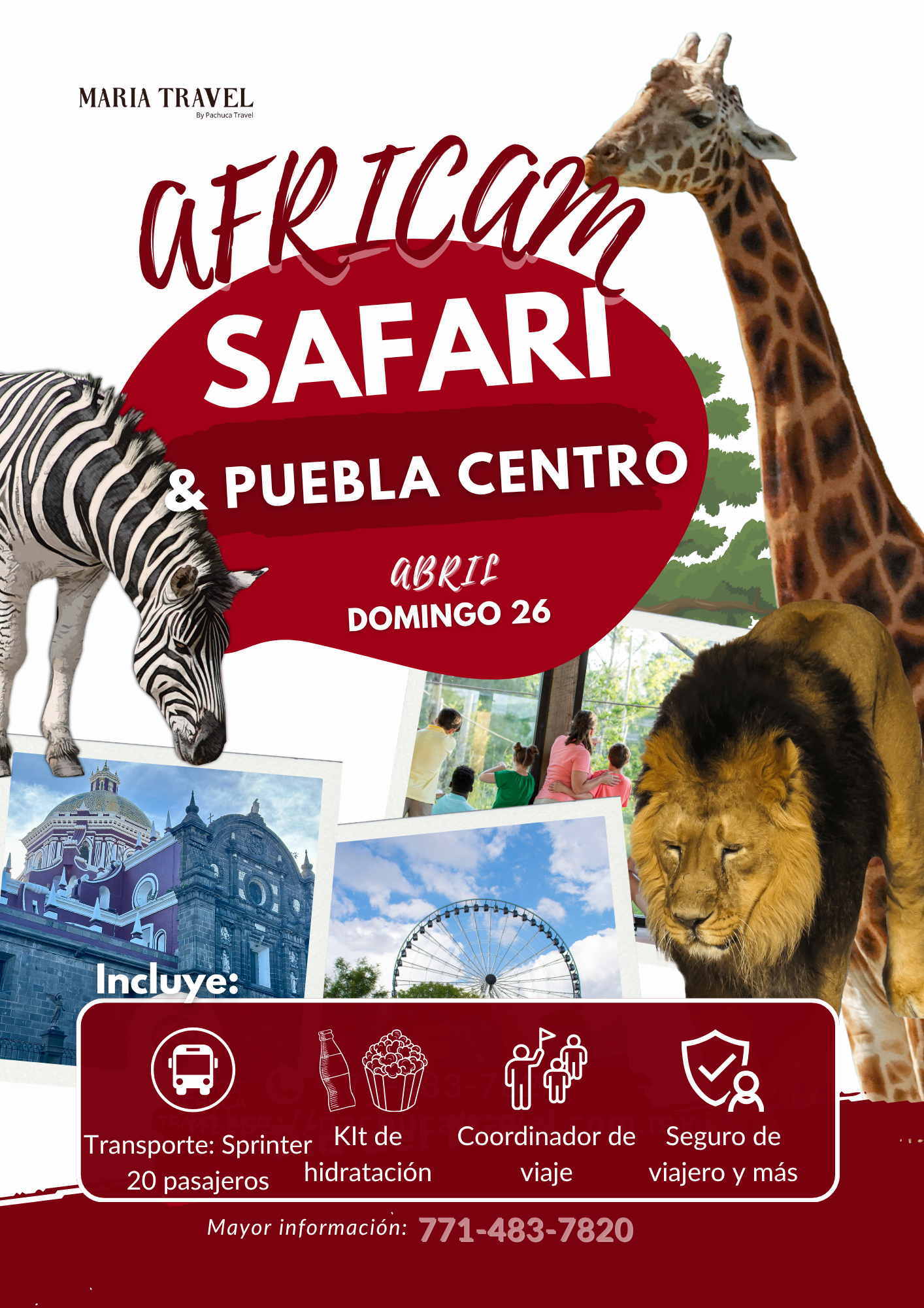 Puebla Centro & Africam Safari
