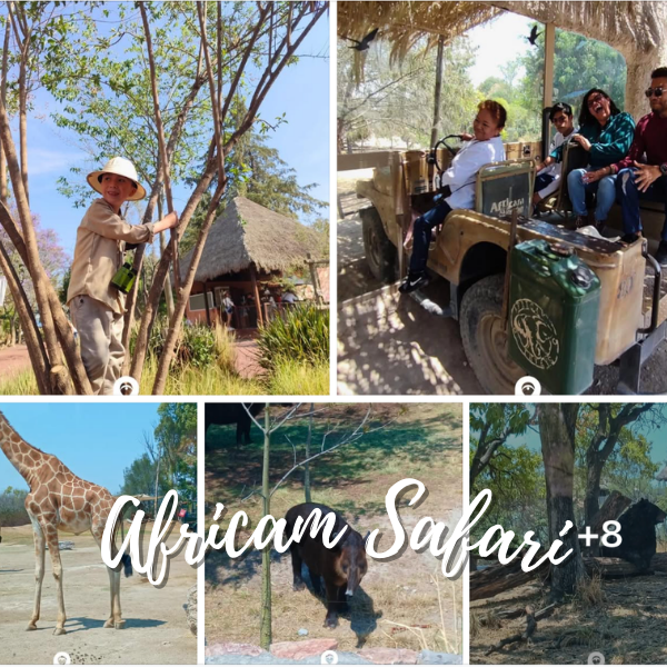 Puebla Centro & Africam Safari - Imagen 2