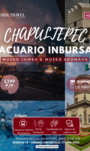 Escapada de un día en CDMX