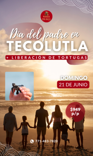 Liberación de Tortugas en Tecolutla, Veracruz