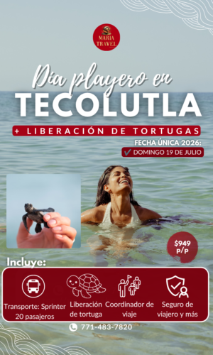Liberación de Tortugas en Tecolutla, Veracruz