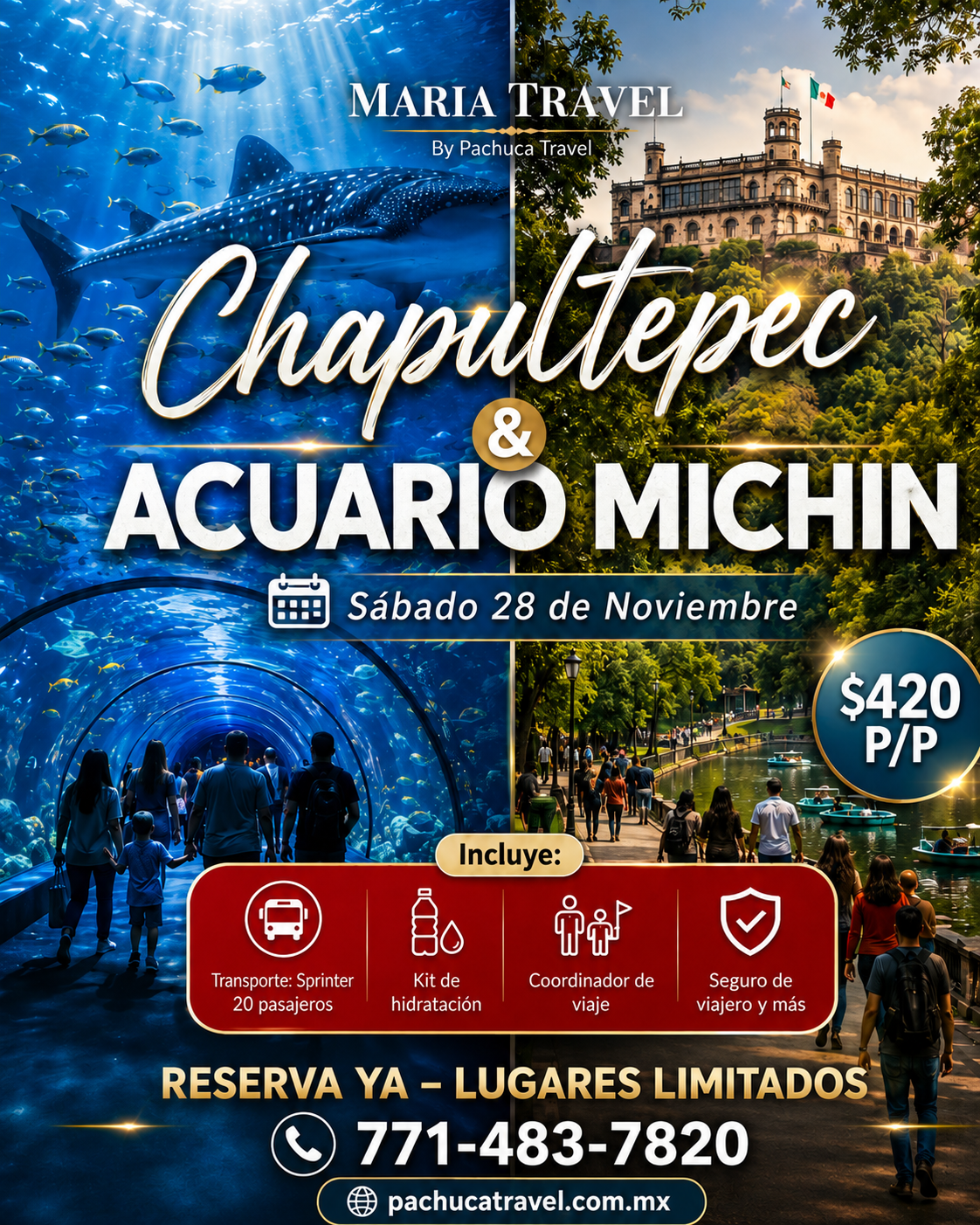 Chapultepec & Acuario Michin